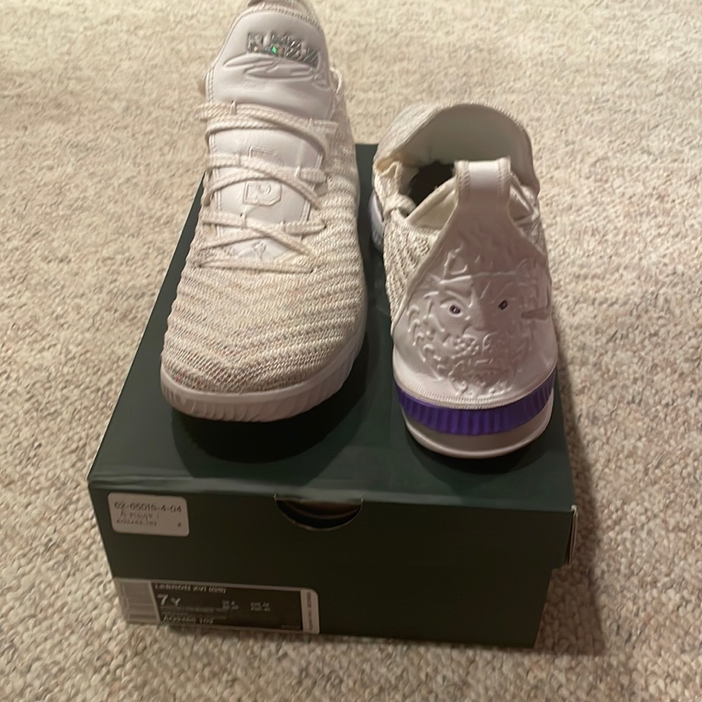 Lebron XVI Sneakers